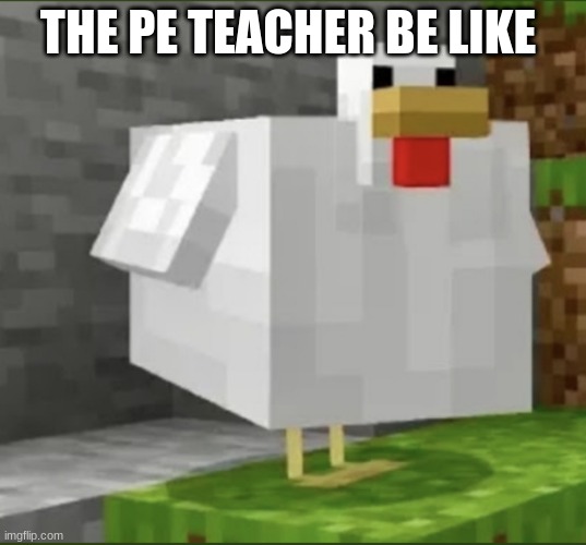Cursed chicken | THE PE TEACHER BE LIKE | image tagged in cursed chicken | made w/ Imgflip meme maker