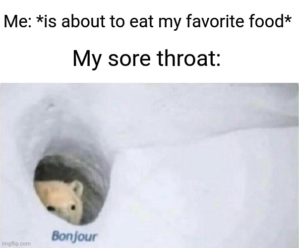 Bear | Me: *is about to eat my favorite food*; My sore throat: | image tagged in bonjour bear | made w/ Imgflip meme maker