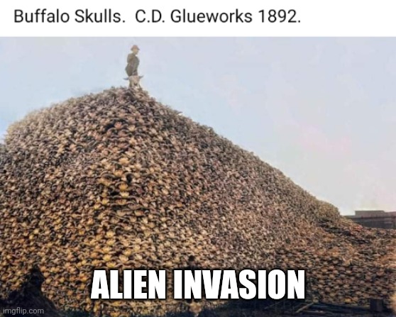 Genocide usa | ALIEN INVASION | image tagged in native american,buffalo | made w/ Imgflip meme maker