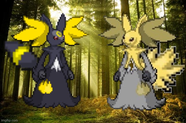 Their Tied! | image tagged in sunlit forest | made w/ Imgflip meme maker