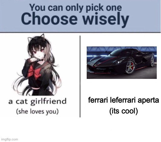 Choose wisely | ferrari leferrari aperta; (its cool) | image tagged in choose wisely | made w/ Imgflip meme maker