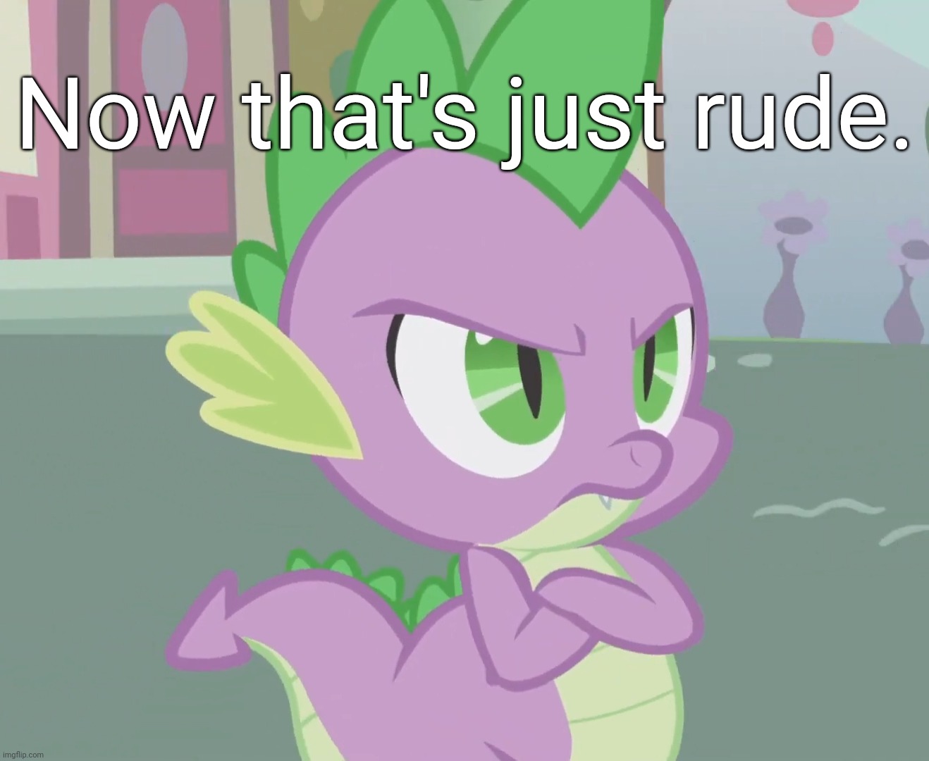 Now that's just rude. | image tagged in spike,my little pony friendship is magic,angry | made w/ Imgflip meme maker