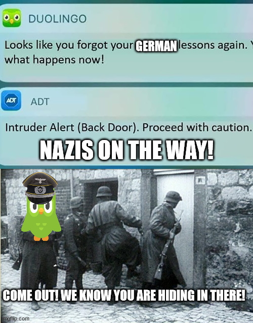 (im secretly studying german and not for that kind of reason, its just a joke) | GERMAN; NAZIS ON THE WAY! COME OUT! WE KNOW YOU ARE HIDING IN THERE! | image tagged in duolingo phone meme | made w/ Imgflip meme maker