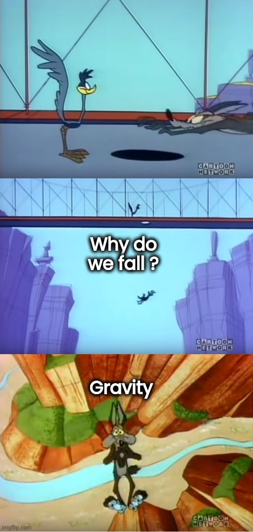 Road Runner Trap | Why do we fall ? Gravity | image tagged in road runner trap | made w/ Imgflip meme maker