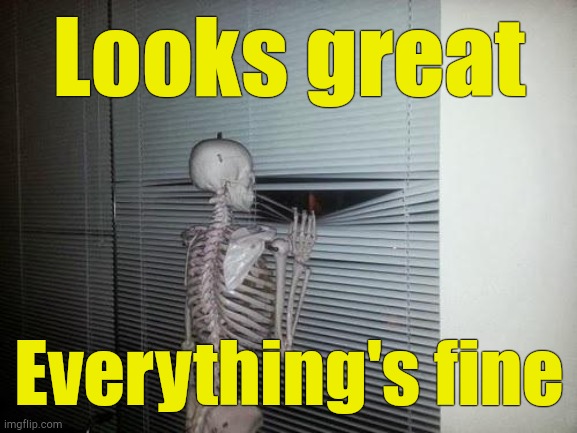 Skeleton Looking Out Window | Looks great Everything's fine | image tagged in skeleton looking out window | made w/ Imgflip meme maker