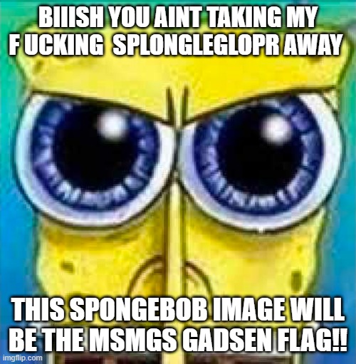 angry spucnh bop | BIIISH YOU AINT TAKING MY F UCKING  SPLONGLEGLOPR AWAY; THIS SPONGEBOB IMAGE WILL BE THE MSMGS GADSEN FLAG!! | image tagged in angry spucnh bop | made w/ Imgflip meme maker