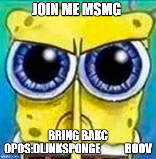 angry spucnh bop | JOIN ME MSMG; BRING BAKC OPOS:DLJNKSPONGE           BOOV | image tagged in angry spucnh bop | made w/ Imgflip meme maker