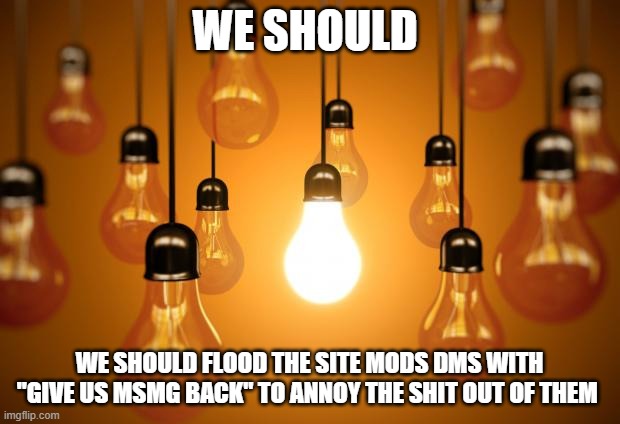 lightbulbs | WE SHOULD; WE SHOULD FLOOD THE SITE MODS DMS WITH "GIVE US MSMG BACK" TO ANNOY THE SHIT OUT OF THEM | image tagged in lightbulbs | made w/ Imgflip meme maker