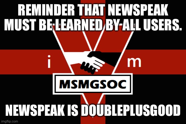 MSMGSOC flag | REMINDER THAT NEWSPEAK MUST BE LEARNED BY ALL USERS. NEWSPEAK IS DOUBLEPLUSGOOD | image tagged in msmgsoc flag | made w/ Imgflip meme maker