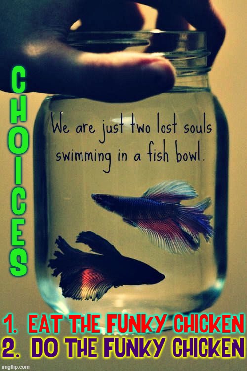 HUNGER GAMES! |  C
H
O
I
C
E
S; 1.  EAT THE FUNKY CHICKEN; 2.  DO THE FUNKY CHICKEN | image tagged in vince vance,hunger,memes,funky chicken,siamese fighting fish,choices | made w/ Imgflip meme maker