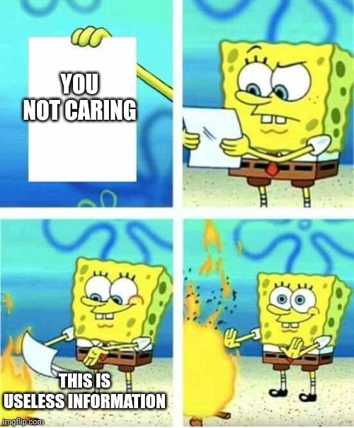I don't care | YOU NOT CARING THIS IS USELESS INFORMATION | image tagged in i don't care | made w/ Imgflip meme maker