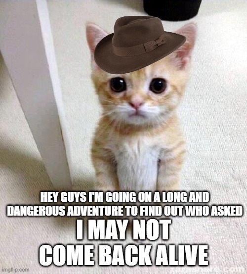 Hopefully I will survive and come back with the answer :))) | HEY GUYS I'M GOING ON A LONG AND DANGEROUS ADVENTURE TO FIND OUT WHO ASKED; I MAY NOT COME BACK ALIVE | image tagged in memes,cute cat,funny,who asked,funny memes,frontpage | made w/ Imgflip meme maker