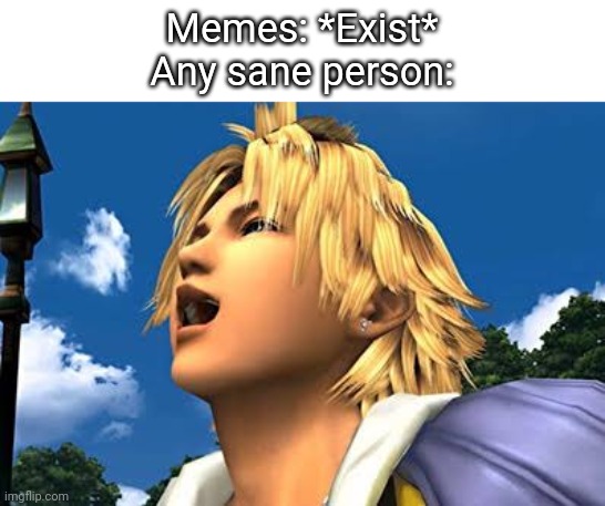 Tidus go ha ha ha | Memes: *Exist*
Any sane person: | image tagged in tidus laugh | made w/ Imgflip meme maker