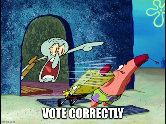 Yelling Squidward | VOTE CORRECTLY | image tagged in yelling squidward | made w/ Imgflip meme maker