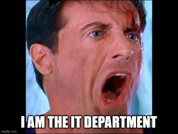 When you're the only IT Guy in the Office | I AM THE IT DEPARTMENT | image tagged in judge dredd - you betrayed the law | made w/ Imgflip meme maker