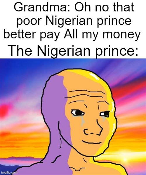 funy | Grandma: Oh no that poor Nigerian prince better pay All my money; The Nigerian prince: | image tagged in funny | made w/ Imgflip meme maker