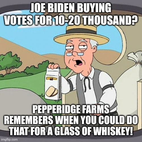 Pepperidge Farm Remembers Meme | JOE BIDEN BUYING VOTES FOR 10-20 THOUSAND? PEPPERIDGE FARMS REMEMBERS WHEN YOU COULD DO THAT FOR A GLASS OF WHISKEY! | image tagged in memes,pepperidge farm remembers | made w/ Imgflip meme maker