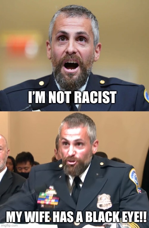 Capitol Grifter | I’M NOT RACIST; MY WIFE HAS A BLACK EYE!! | image tagged in capitol hill,police,anti-racist | made w/ Imgflip meme maker