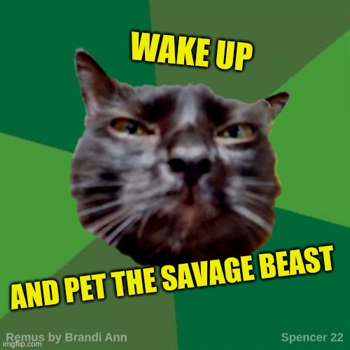 Pet Me Hard | WAKE UP; AND PET THE SAVAGE BEAST | image tagged in remus,cat,savage,beast,pet,wake up | made w/ Imgflip meme maker