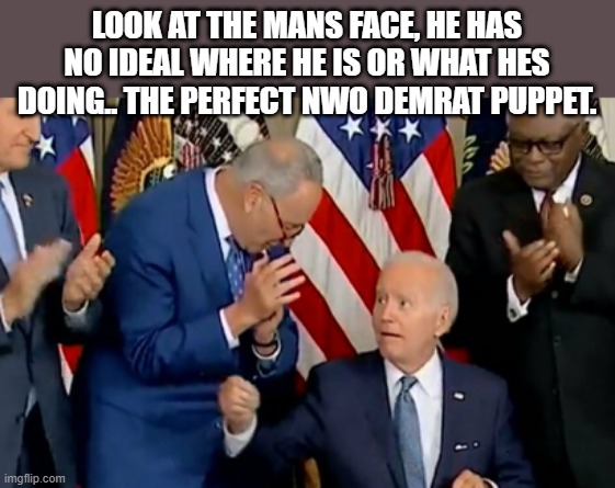 JOE hands Shumer invisible pen while mouth breathing. | LOOK AT THE MANS FACE, HE HAS NO IDEAL WHERE HE IS OR WHAT HES DOING.. THE PERFECT NWO DEMRAT PUPPET. | image tagged in democrat | made w/ Imgflip meme maker