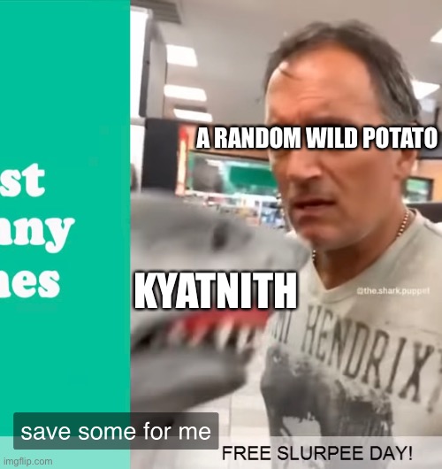 A RANDOM WILD POTATO KYATNITH | made w/ Imgflip meme maker