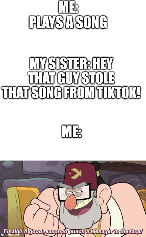 hE StOlE ThAt FrOm TiKtOk!!! | ME: PLAYS A SONG; MY SISTER: HEY THAT GUY STOLE THAT SONG FROM TIKTOK! ME: | image tagged in blank white template,finally a good reason to punch a teenager in the face | made w/ Imgflip meme maker