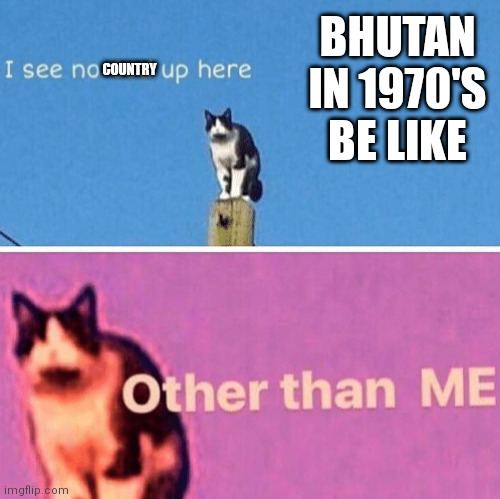 Hail pole cat | BHUTAN IN 1970'S BE LIKE; COUNTRY | image tagged in hail pole cat | made w/ Imgflip meme maker