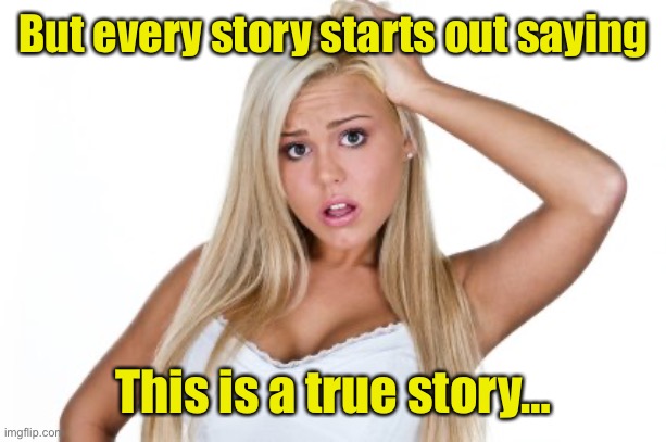 Dumb Blonde | But every story starts out saying This is a true story… | image tagged in dumb blonde | made w/ Imgflip meme maker