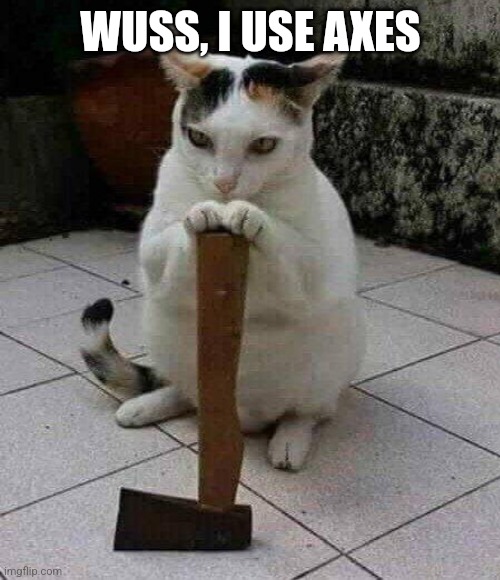 ax killer cat | WUSS, I USE AXES | image tagged in ax killer cat | made w/ Imgflip meme maker