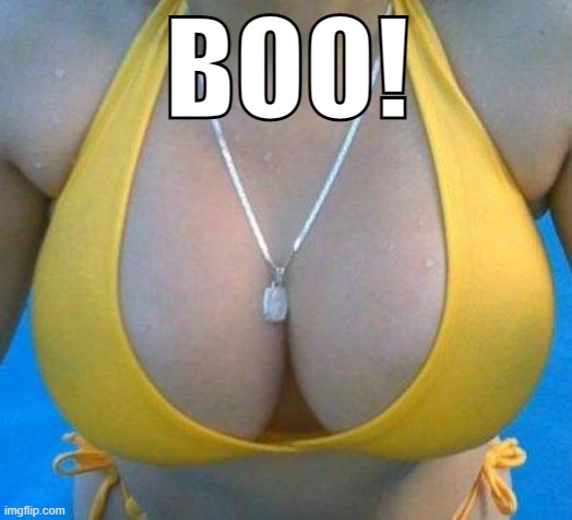 boobs | BOO! | image tagged in boobs | made w/ Imgflip meme maker