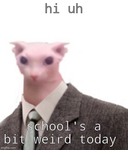 bingus | hi uh; school's a bit weird today | image tagged in bingus | made w/ Imgflip meme maker