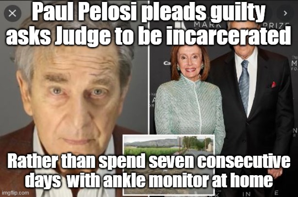 Talk about your CRUEL AND UNUSUAL punishment | Paul Pelosi pleads guilty asks Judge to be incarcerated; Rather than spend seven consecutive days  with ankle monitor at home | image tagged in i cannot stand the guy but there are limits | made w/ Imgflip meme maker