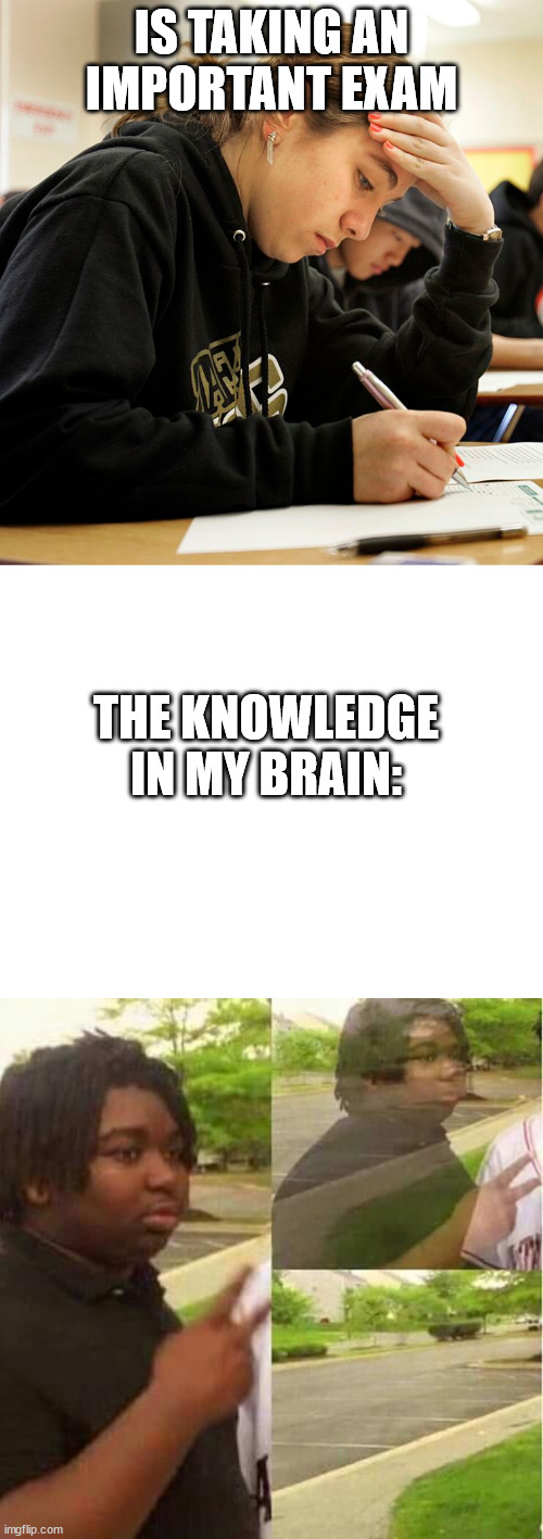 IS TAKING AN IMPORTANT EXAM; THE KNOWLEDGE IN MY BRAIN: | image tagged in disappearing | made w/ Imgflip meme maker