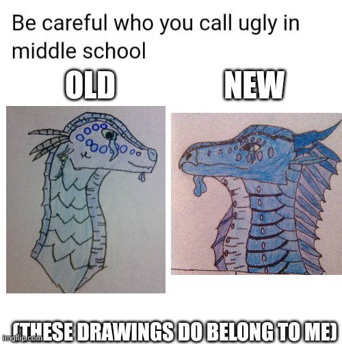 New drawing style vs. Slightly less old drawing style. |  OLD                  NEW; (THESE DRAWINGS DO BELONG TO ME) | image tagged in be careful who you call ugly in middle school,drawings | made w/ Imgflip meme maker