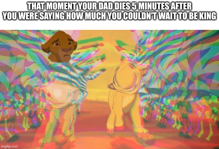 When your dad dies |  THAT MOMENT YOUR DAD DIES 5 MINUTES AFTER YOU WERE SAYING HOW MUCH YOU COULDN'T WAIT TO BE KING | image tagged in bruh moment,lion king,dad | made w/ Imgflip meme maker