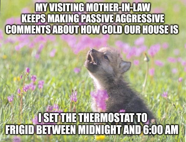 Baby Insanity Wolf Meme | MY VISITING MOTHER-IN-LAW KEEPS MAKING PASSIVE AGGRESSIVE COMMENTS ABOUT HOW COLD OUR HOUSE IS; I SET THE THERMOSTAT TO FRIGID BETWEEN MIDNIGHT AND 6:00 AM | image tagged in memes,baby insanity wolf,AdviceAnimals | made w/ Imgflip meme maker