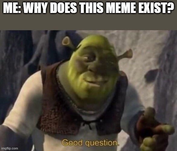 Shrek good question | ME: WHY DOES THIS MEME EXIST? | image tagged in shrek good question | made w/ Imgflip meme maker