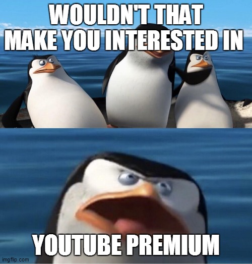 Presses no thanks on YT Premium Free Trial for the 86th time today. YouTube: | WOULDN'T THAT MAKE YOU INTERESTED IN; YOUTUBE PREMIUM | image tagged in wouldn't that make you | made w/ Imgflip meme maker
