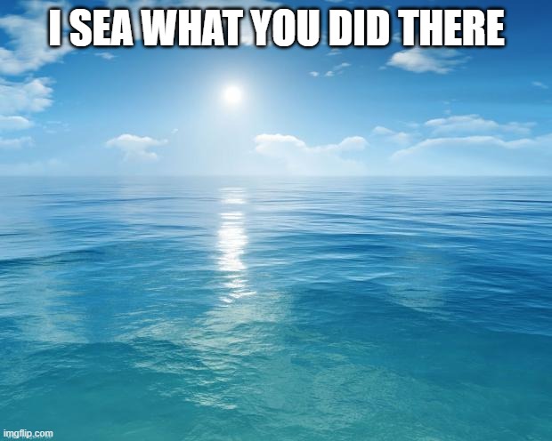 ocean | I SEA WHAT YOU DID THERE | image tagged in ocean | made w/ Imgflip meme maker