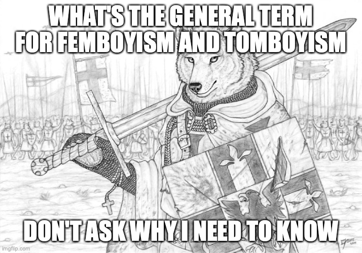 I know it's not trans so dont even try that | WHAT'S THE GENERAL TERM FOR FEMBOYISM AND TOMBOYISM; DON'T ASK WHY I NEED TO KNOW | image tagged in fursader | made w/ Imgflip meme maker