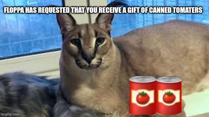Floppa | FLOPPA HAS REQUESTED THAT YOU RECEIVE A GIFT OF CANNED TOMATERS | image tagged in floppa | made w/ Imgflip meme maker