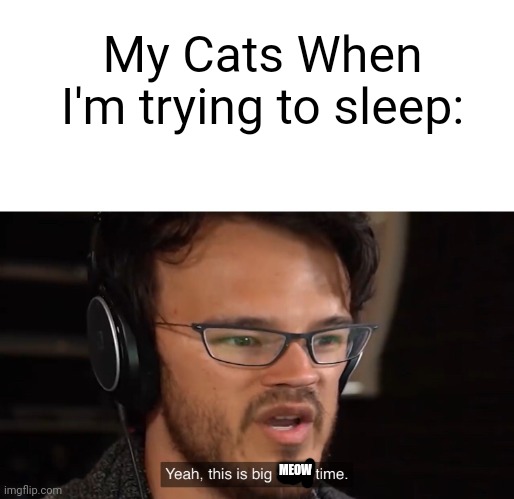 Yeah, this is big brain time | My Cats When I'm trying to sleep:; MEOW | image tagged in yeah this is big brain time | made w/ Imgflip meme maker