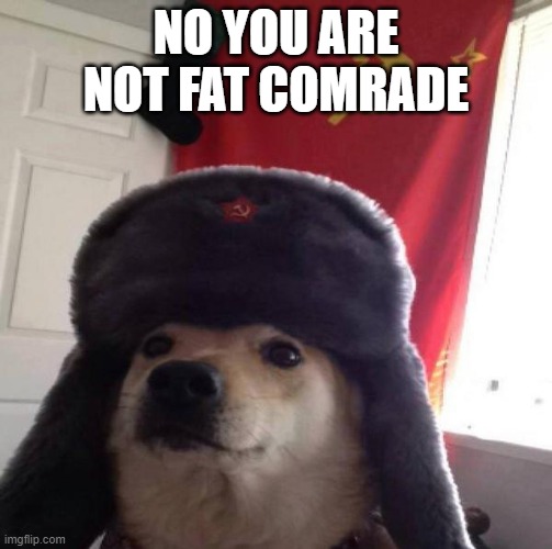 Russian Doge | NO YOU ARE NOT FAT COMRADE | image tagged in russian doge | made w/ Imgflip meme maker