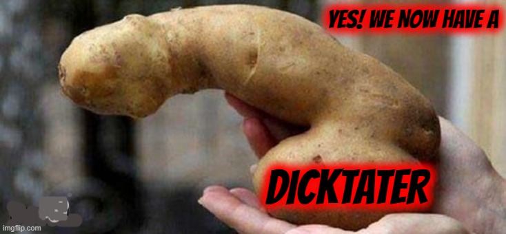 YES! WE NOW HAVE A DICKTATER | made w/ Imgflip meme maker