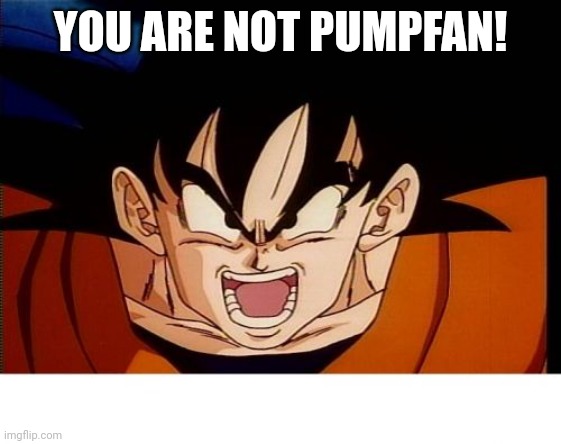 Crosseyed Goku Meme | YOU ARE NOT PUMPFAN! | image tagged in memes,crosseyed goku | made w/ Imgflip meme maker