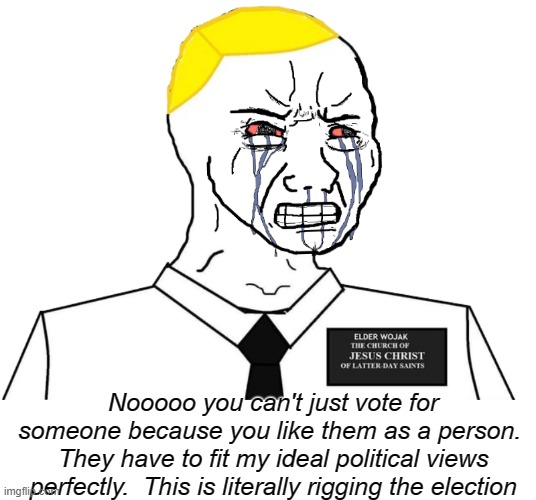 Nooooo you can't just vote for someone because you like them as a person.  They have to fit my ideal political views perfectly.  This is lit | made w/ Imgflip meme maker