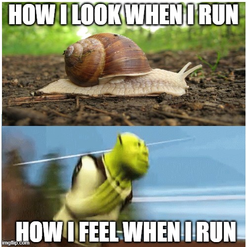 HOW I LOOK WHEN I RUN; HOW I FEEL WHEN I RUN | image tagged in memes,funny,shrek | made w/ Imgflip meme maker