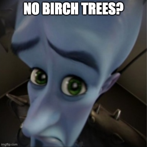 Herobrine | NO BIRCH TREES? | image tagged in megamind peeking | made w/ Imgflip meme maker