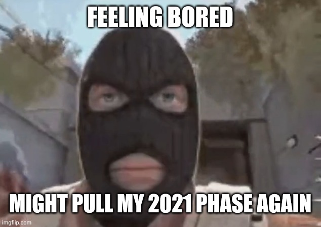 the time where i was a balanced of most hated and most respected. | FEELING BORED; MIGHT PULL MY 2021 PHASE AGAIN | image tagged in blogol | made w/ Imgflip meme maker