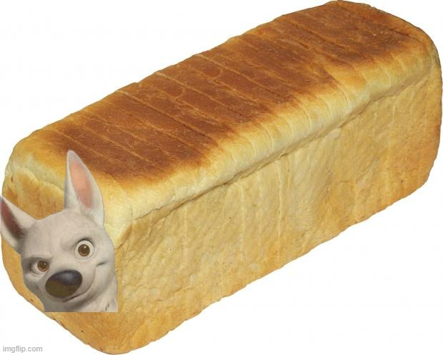 bolt bread | image tagged in breadddd,dog,bread | made w/ Imgflip meme maker